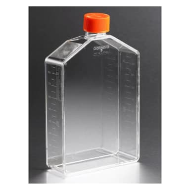 Corning CellBIND 225cm Canted Neck Cell Culture Flask with Vent Cap