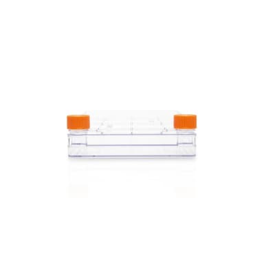 Corning CellSTACK, 2-layer Polystyrene vessel with Vent Caps, CellBIND treated Growth Surface, Sterile, 1 per bag, 5 per case