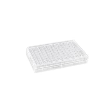 Corning HTS Transwell-96 Permeable Support with 0.8µm Pore Polyester (PET) Membrane, Sterile, 4/Pack, 8/Case