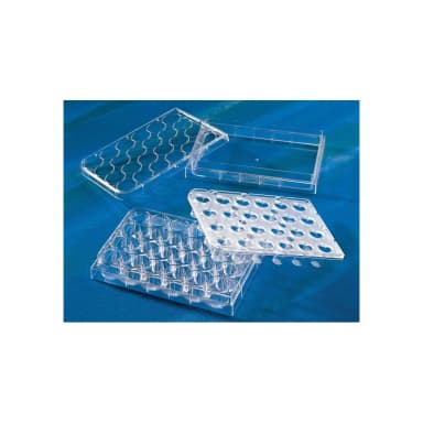 Costar HTS Transwell-24 Permeable Support with 3.0m Pore Polycarbonate (PC) Membrane, Sterile, 12/Pack, 12/Case