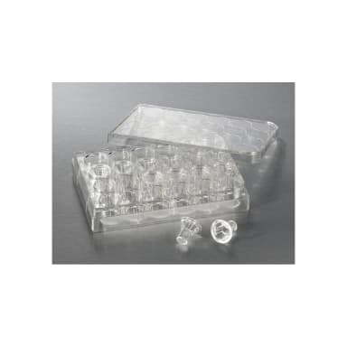 Costar 6.5mm Transwell Permeable Support with 0.8µm Pore Polycarbonate (PC) Membrane, Sterile, 12/Pack, 48/Case
