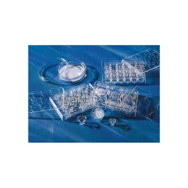 Costar 24mm Transwell Permeable Support with 0.8µm Pore Polycarbonate (PC) Membrane, Sterile, 6/Pack, 24/Case