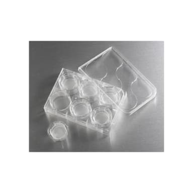 Costar 24mm Transwell Permeable Support with 0.4µm Pore Polyester (PET) Membrane, Sterile, 6/Pack, 24/Case