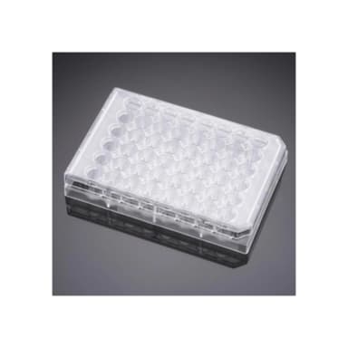 Falcon 48 Well-CLear Flat Bottom Not Treated Multiwell Cell Culture Plate with Lid, Non-Pyrogenic, Individually Wrapped, Sterile, 50/Case