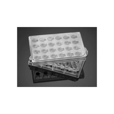 Falcon 24 Well Insert System with 1.0µm Pore Polyester (PET) Membrane, with Feeder Tray and Lid, 5/Pack, 5/Case