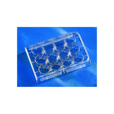 Costar 12 Well Clear Tissue Culture-Treated Multiple Well Plates with Lid, Sterile, Individually Wrapped, 50/Case