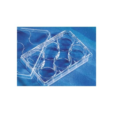 Costar 6 Well Clear, Tissue Culture-Treated Multiple Well Plates with Lid, Sterile, Individually Wrapped, 50/Case