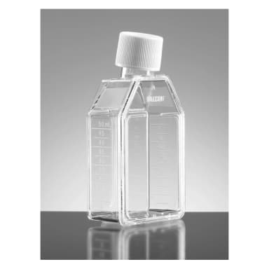 Falcon 25cm² Rectangular Canted Neck Cell Culture Flask with White Plug Seal Screw Cap