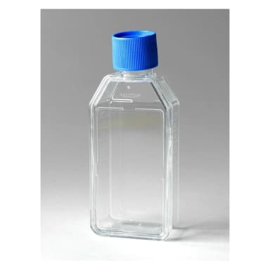 Falcon 25cm² Rectangular Canted Neck Cell Culture Flask with Vented Cap