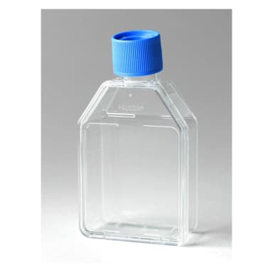 Falcon 25cm² Rectangular Canted Neck Cell Culture Flask with Vented Cap