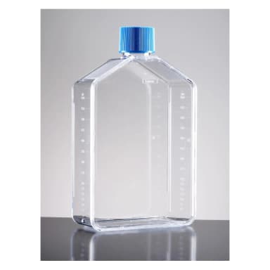 Falcon 175cm² Rectangular Straight Neck Cell Culture Flask with Vented Cap