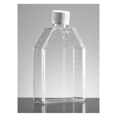 Falcon 75cm² Rectangular Canted Neck Cell Culture Flask with Plug Seal Cap