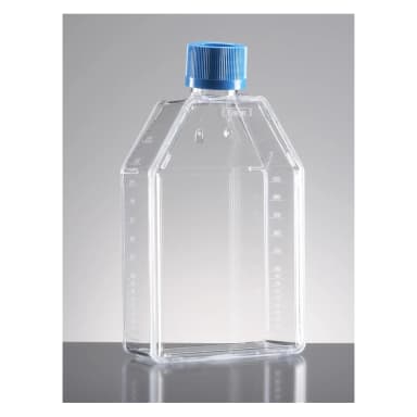 Falcon 75cm² Rectangular Canted Neck Cell Culture Flask with Vented Cap