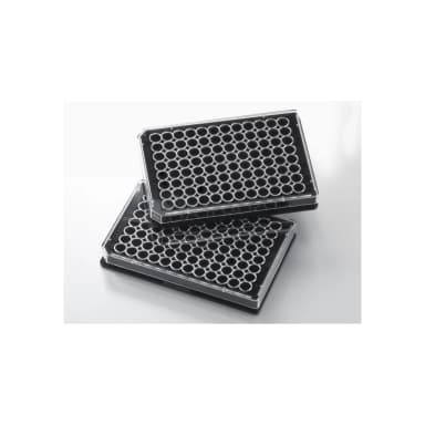 Falcon 96 Well Black Flat BottomTC-Treated Microplate, with Lid, Sterile, 8/Pack, 32/Case