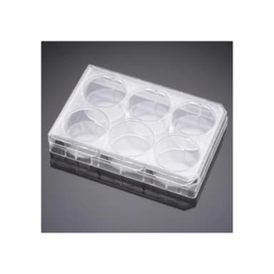 Falcon 6 Well TC-Treated Polystyrene Cell Culture Insert Companion Plate, with Lid, Sterile, 1/Pack, 50/Case