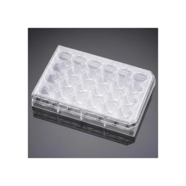 Falcon 24 Well TC-Treated Polystyrene Cell Culture Insert Companion Plate, with Lid, Sterile, 1/Pack, 50/Case