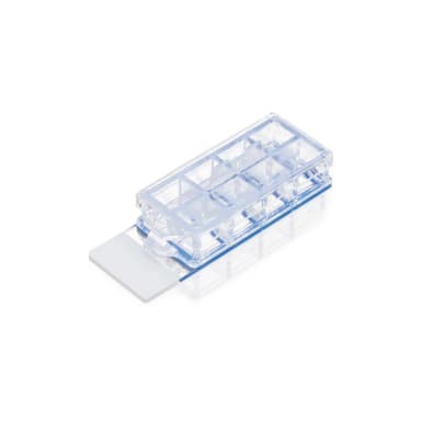 Falcon 8 Well Culture Slide, 12/Pack, 24/Case