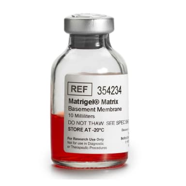 Corning Matrigel Basement Membrane Matrix, *LDEV-Free, 10mL