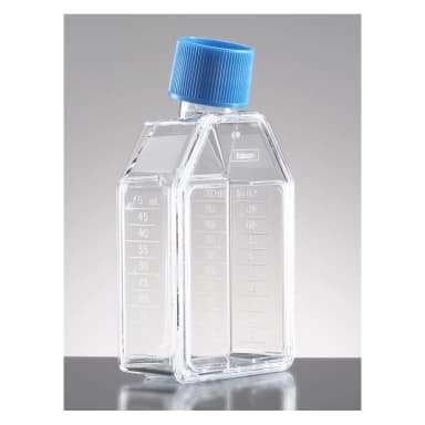 Corning BioCoat Poly-D-Lysine 25cm² Rectangular Canted Neck Cell Culture Flask with Vented Cap