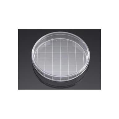 Corning BioCoat Poly-D-Lysine 150mm TC-Treated Gridded Culture Dishes, 5/Pack, 5/Case, Nonsterile