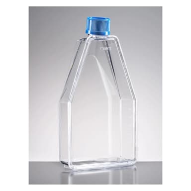 Falcon 150cm² Rectangular Canted Neck Cell Culture Flask with Vented Cap