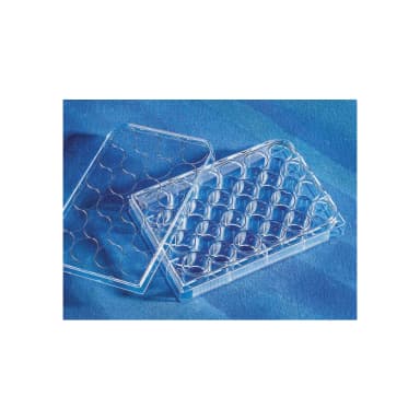 Costar 24 Well Clear, Not Treated Multiple Well Plates with Lid, Sterile, Bulk Packaged, 5/Bag, 100/Case