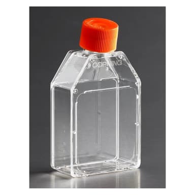 Corning 25cm Rectangular Canted Neck Cell Culture Flask with Plug Seal Cap