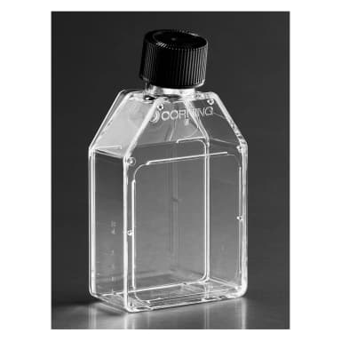 Corning 25cm Rectangular Canted Neck Cell Culture Flask with Phenolic-Style Cap