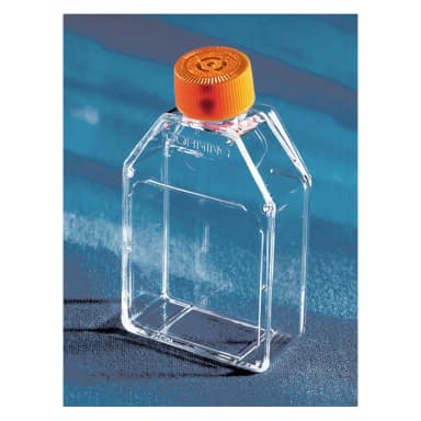 Corning 25cm Rectangular Canted Neck Cell Culture Flask with Vent Cap