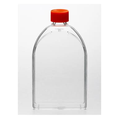 Corning 150cm Canted Neck Cell Culture Flask with Plug Seal Cap