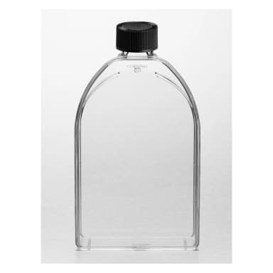 Corning 150cm Canted Neck Cell Culture Flask with Phenolic-Style Cap