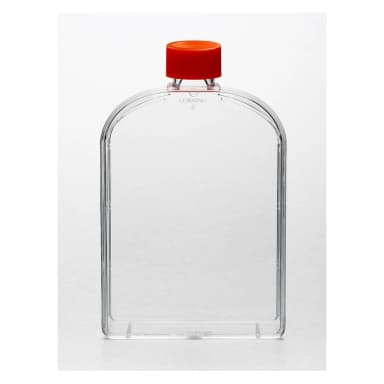 Corning 175cm Angled Neck Cell Culture Flask with Plug Seal Cap