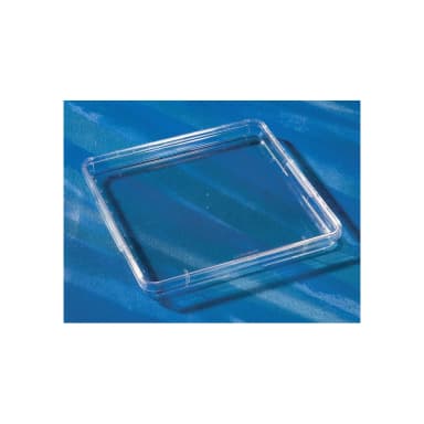 Corning 245mm Square BioAssay Dish with Handles, Not Tissue Culture-Treated, Bulk Packaged, 4/Pack, 16/Case