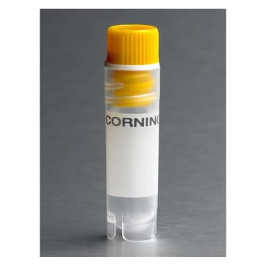 Corning 2mL Yellow Cap Internal Threaded Polypropylene Cryogenic Vial, Self-Standing with Round Bottom