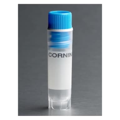 Corning 2mL Blue Cap Internal Threaded Polypropylene Cryogenic Vial, Self-Standing with Round Bottom
