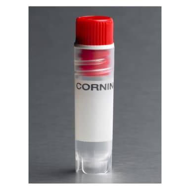 Corning 2mL Red Cap Internal Threaded Polypropylene Cryogenic Vial, Self-Standing with Round Bottom