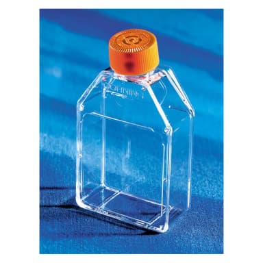 Corning 25cm Rectangular Canted Neck Not Treated Cell Culture Flask with Vent Cap