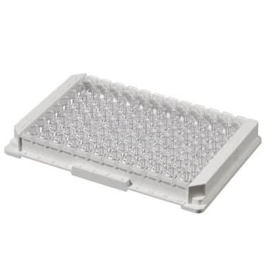 Module Plate Nunc Immuno MaxiSorp C8x12 w/Frm NS PS Cert 350 ul Well