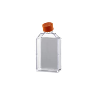 Corning Elplasia Round Bottom, Ultra-Low Attachment, Flask, 12K, 850µm Diameter, 650µm Depth, Ind Packaged, Sterile, 1/5