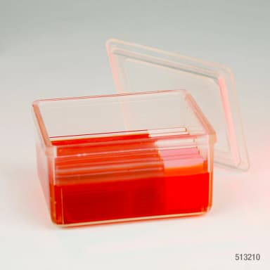 Slide Staining Jar with Lid, PMP, for 10 slides (20 back-to-back), Schifferdecker Type - CS/20