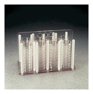 Rack Petri Dish PC; 100MM 100 mm