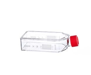 SUSPENSION CULTURE FLASK, 550 ML, PS, CLEAR, WHITE STANDARD SCREW CAP, CELLSTAR®, FLAT FLASK DESIGN, STERILE, 5 PCS./BAG, TRIPLE PACKED