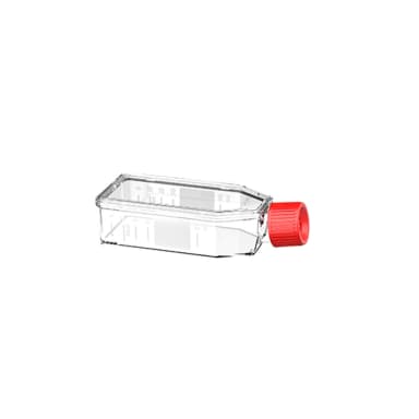 TC-FLASK, 50 ML, 25 CM² POLY-D-LYSINE, C