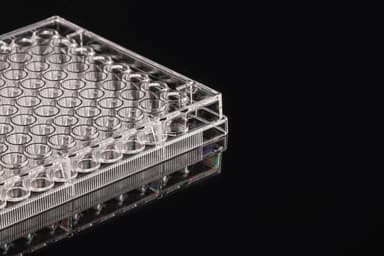 96 Well Cell Culture Plate, flat, TC, sterile 1/pk, 100/cs
