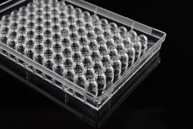 96 Well Cell Culture Plate, U-bottom, TC, sterile 1/pk, 100/cs