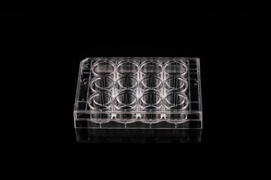 12 Well Cell Culture Plate, Flat, TC, sterile 1/pk, 50/cs