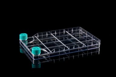Nest BioFactory 1 Chamber; Wide Mouth; Total culture area: 647cm2; TC; st
