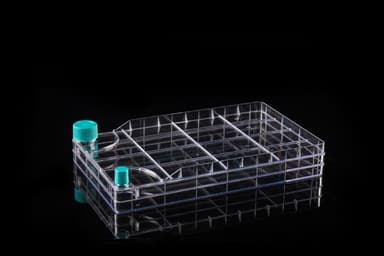 Nest BioFactory 2 Chamber; Wide Mouth; Total culture area: 1279cm2; TC; s