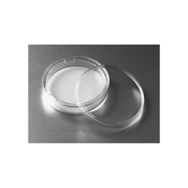 Costar Transwell 75mm,0.4µm,10µm Thick, Tissue Culture Treated, Polycarbonate (PC) Membrane, Sterile, 1 Pack/12 Case