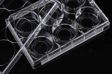 6 Well Glass Bottom Cell Culture Plate,¦ 20mm,TC, sterile 1/pk, 10/cs